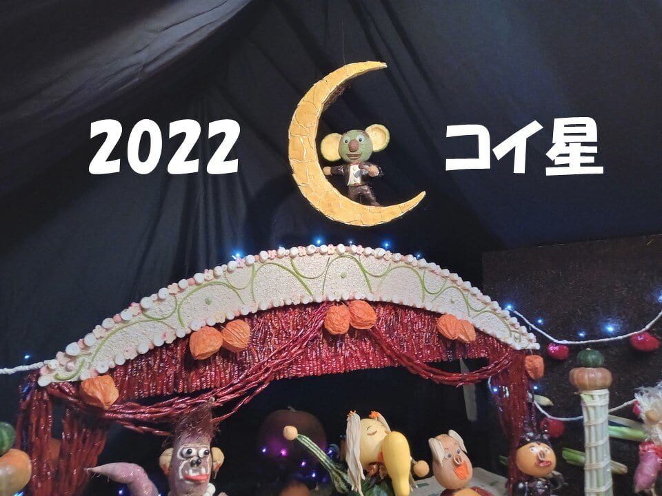 2022コイ星加工_220930_192200.jpg
