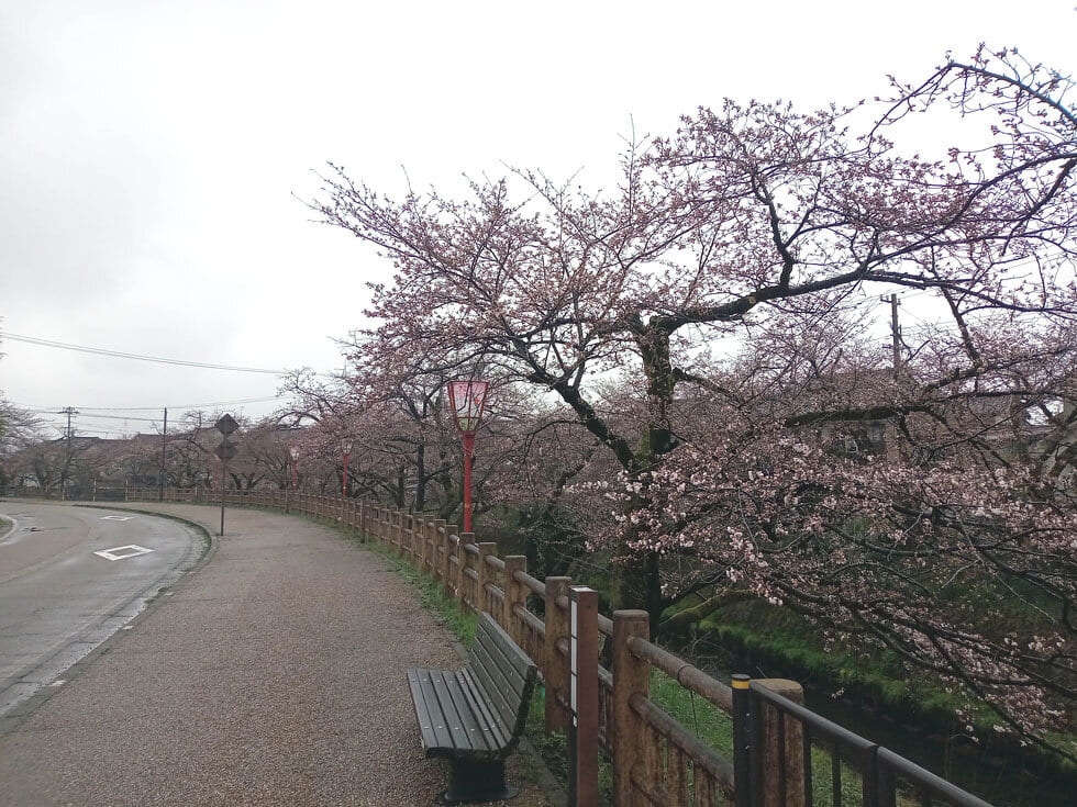 schoolroad_230324_154959.jpg