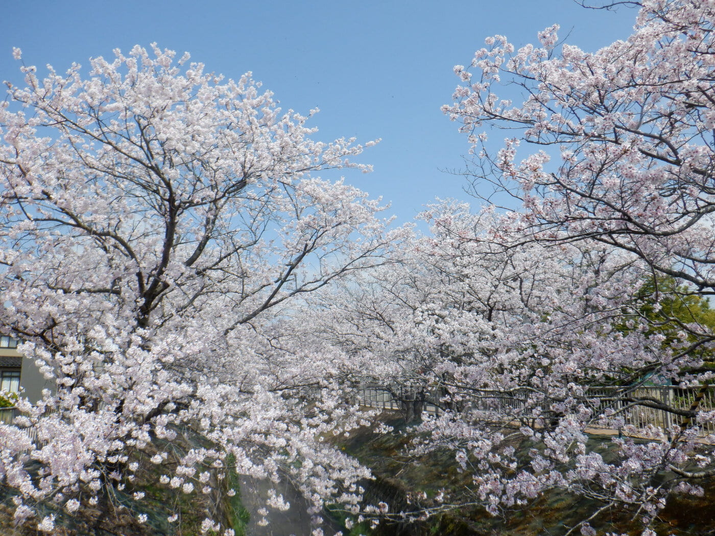 新年度へ向けて。