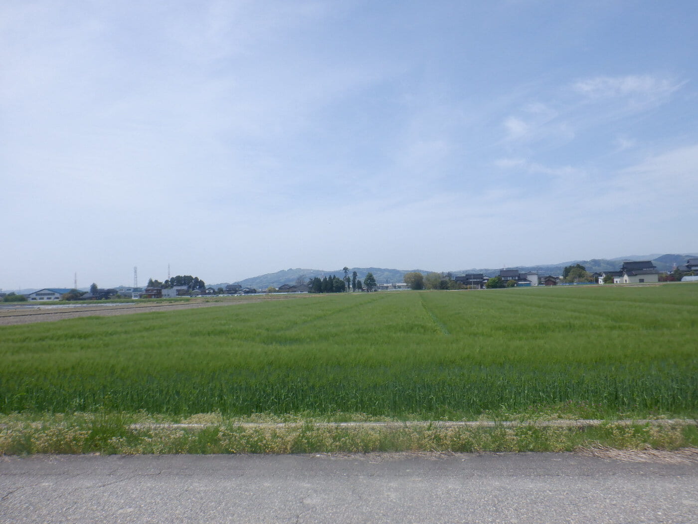 楽しい変化と日頃の備え