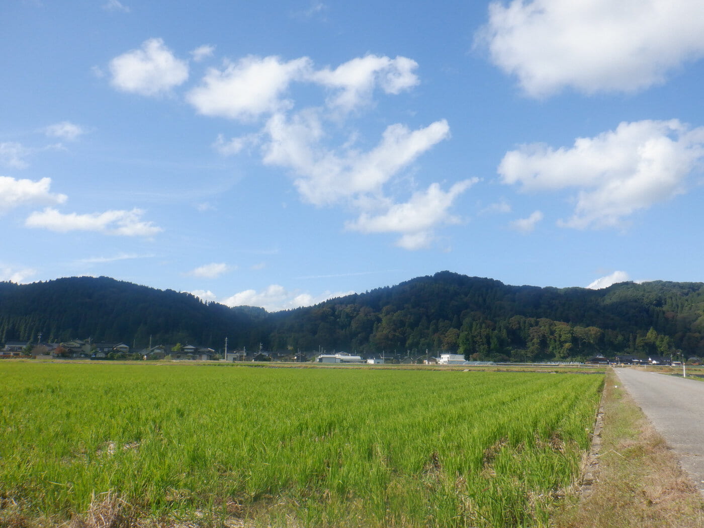 『秋の空』と『冬支度』