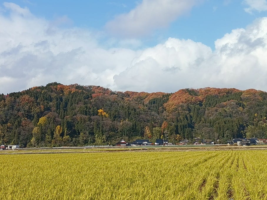 様々な『冬支度』