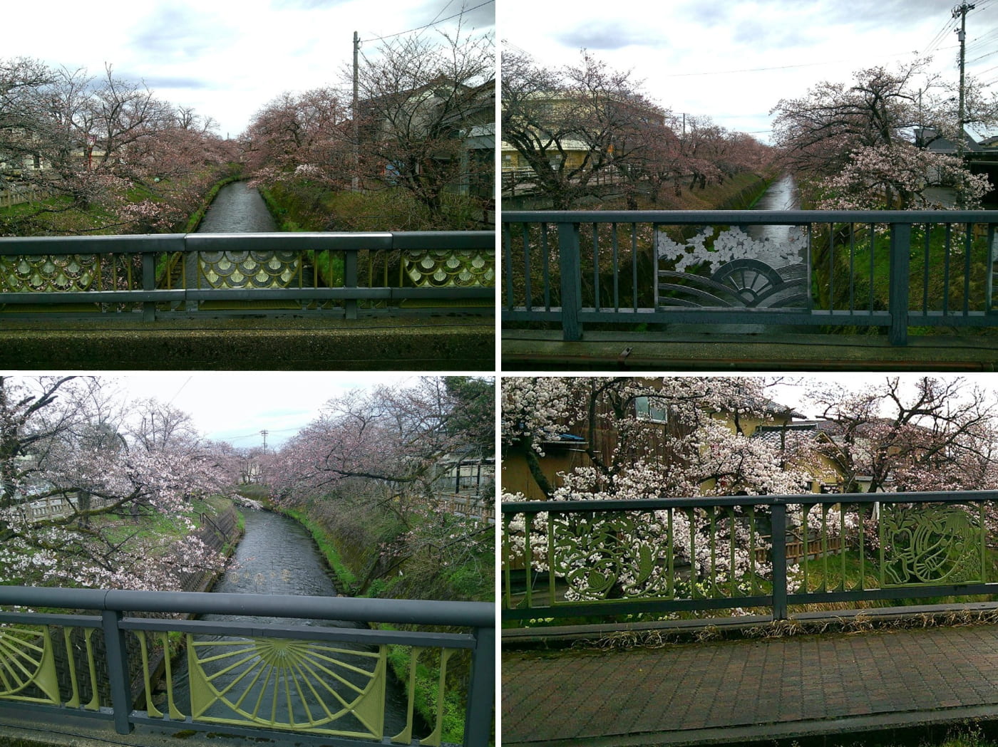 『春』へのワクワク！