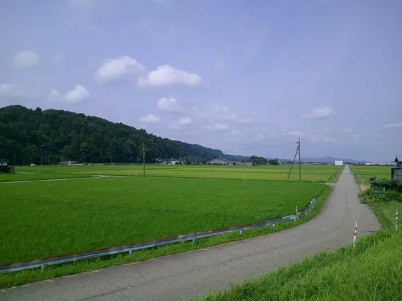 酷暑への備え